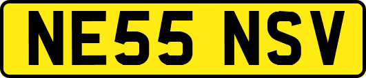NE55NSV