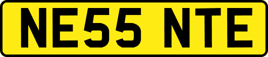 NE55NTE