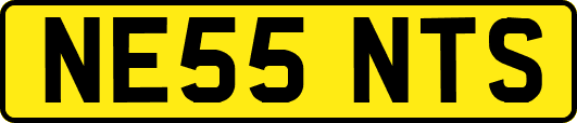 NE55NTS