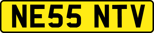 NE55NTV