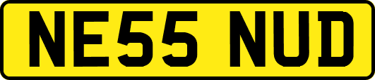 NE55NUD