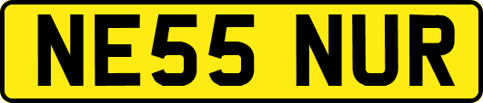 NE55NUR