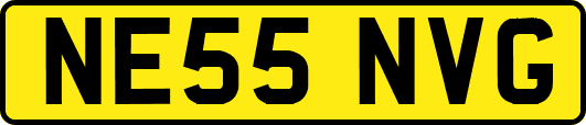 NE55NVG