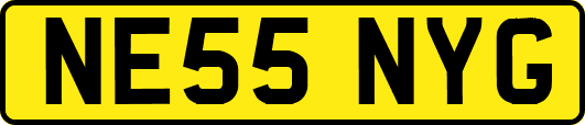 NE55NYG