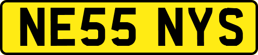NE55NYS