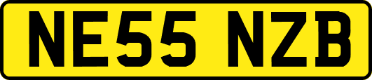 NE55NZB