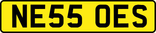 NE55OES