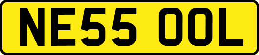 NE55OOL