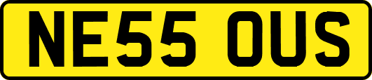 NE55OUS