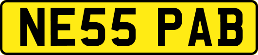 NE55PAB