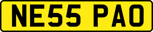 NE55PAO