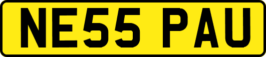 NE55PAU