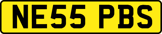 NE55PBS