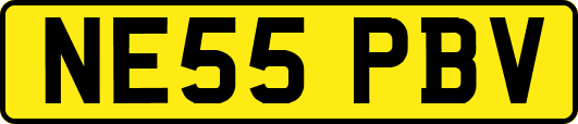 NE55PBV