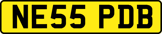 NE55PDB