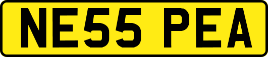 NE55PEA