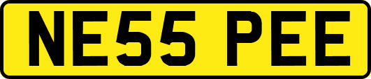 NE55PEE
