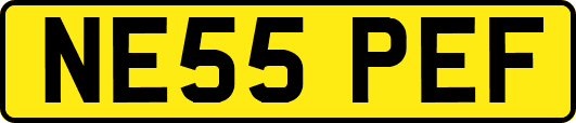 NE55PEF