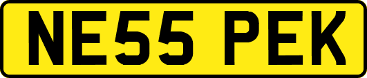 NE55PEK
