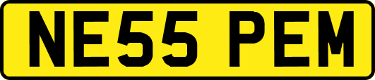 NE55PEM