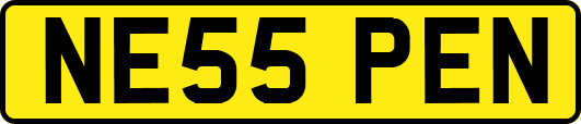 NE55PEN