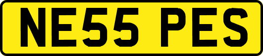 NE55PES