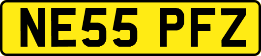 NE55PFZ