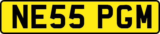 NE55PGM