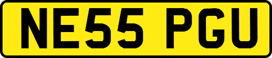 NE55PGU