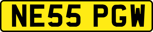 NE55PGW