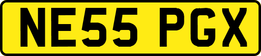 NE55PGX