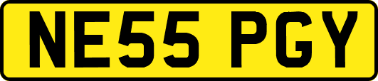 NE55PGY