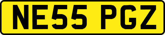 NE55PGZ