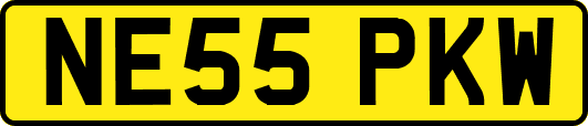NE55PKW