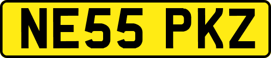 NE55PKZ