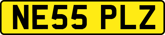 NE55PLZ