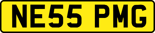 NE55PMG