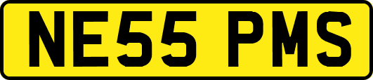 NE55PMS