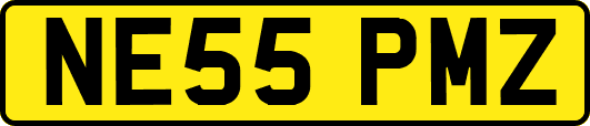 NE55PMZ
