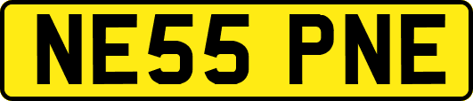 NE55PNE