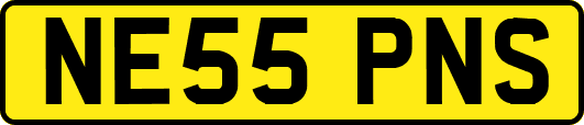 NE55PNS