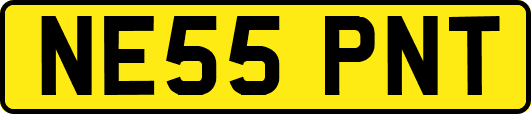 NE55PNT