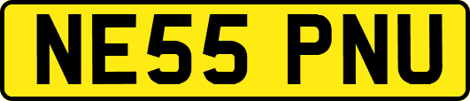 NE55PNU
