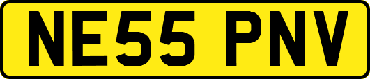 NE55PNV