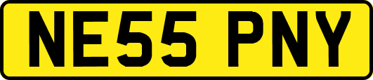 NE55PNY