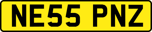 NE55PNZ