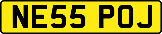 NE55POJ