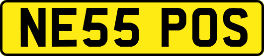 NE55POS