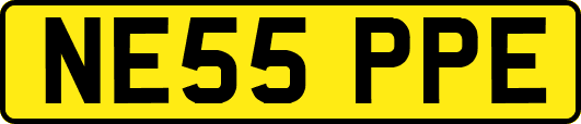 NE55PPE