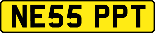 NE55PPT